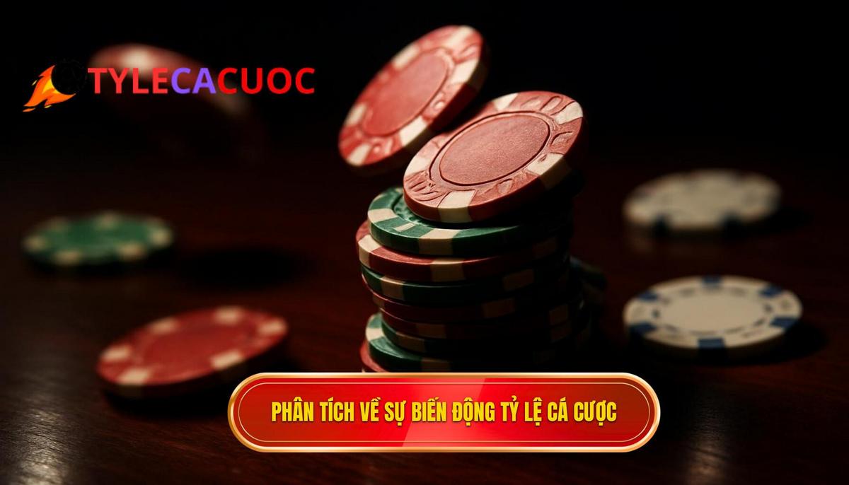 Phân Tích Chuyên Sâu Về Sự Biến Động Của Tỷ Lệ Cá Cược