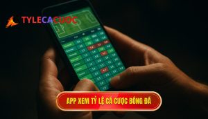 app xem tỷ lệ cá cược bóng đá