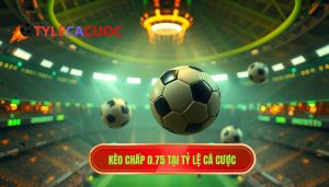 Kèo chấp 0.75 là gì? Kinh nghiệm soi kèo 3/4 từ TỶ LỆ CÁ CƯỢC